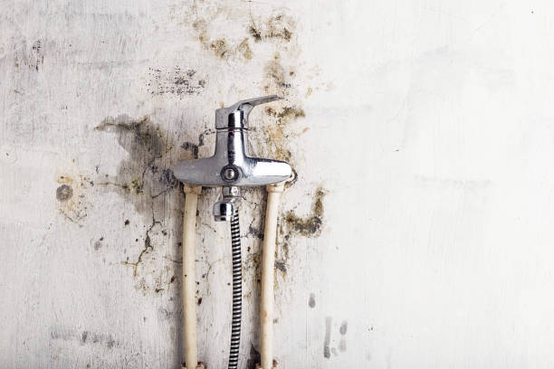 Water Damage Restoration in St Anthony, ID