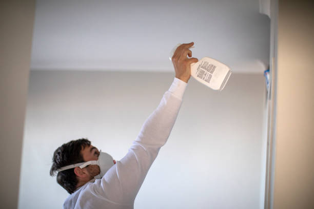 Best Black Mold Removal  in St Anthony, ID