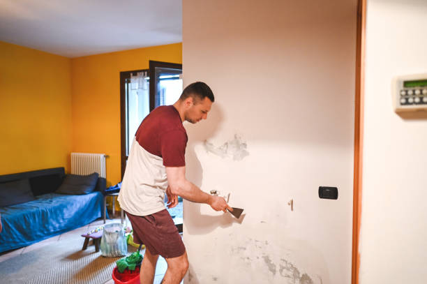 Best Best Mold Removal Companies  in St Anthony, ID